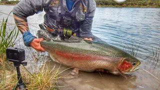 Fly Fishing for the BIGGEST TROUT in the WORLD