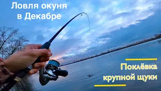 Рыбалка в Декабре. Зимний спиннинг. Крупная щука на ультралайт. Зимний окунь. #рыбалка #fishing