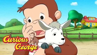 Curious George 🐑 George and the Baby Goats 🐑 Kids Cartoon 🐵 Kids Movies 🐵 Videos for Kids