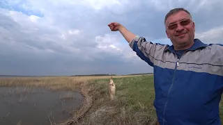 Рыбалка на карася озеро Горькое Тюменцевский район Алтай край  май 2021 день 1-ый