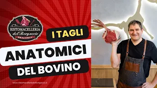 TAGLI ANATOMICI DEL BOVINO, DESCRIZIONE E CONSIGLI PER LA COTTURA.