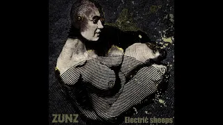 Zunz - Electric Sheeps (EP 2024)