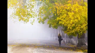 Олег Капралов - Улетели листья с тополей