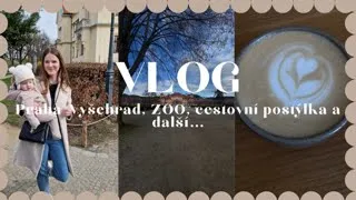 VLOG | Náš výlet do Prahy & dm, baby dračík haul