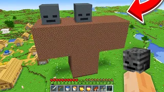 Minecraft but What's this Wither?!