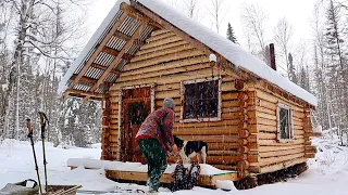 Wilderness Off Grid Log Cabin: Snow, Preparing For Winter Living, Moose