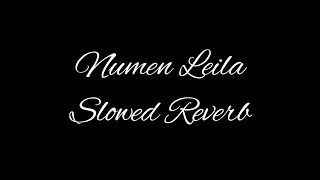 Numen Leila (Slowed Reverb) Jah Khalib