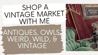 This market defied my expectations! Join me as we explore the Vintage Trixie Curiosity Faire.