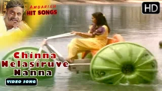 Chinna Nelasiruve Nanna - Video Song FULL HD | Hongkongnalli Agent Amar | Ambarish - Ambika