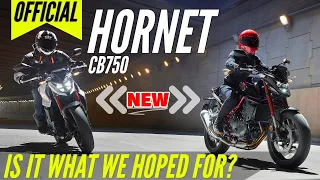 NEW 2023 Honda Hornet CB 750 First Look Review / Specs!