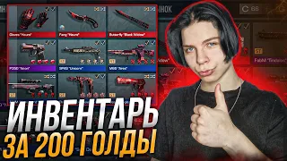 ЛУЧШИЙ ИНВЕНТАРЬ ЗА 200 ГОЛДЫ В СТАНДОФФ 2 ЧТО КУПИТЬ НА 200 ГОЛДЫ В STANDOFF 2? ЗАКУП НА 200 ГОЛДЫ