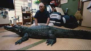 Meet Japan's 'Mr. Gator' and his pet alligator