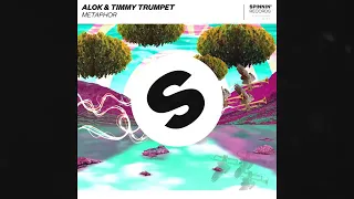 Timmy Trumpet and Alok Metaphor