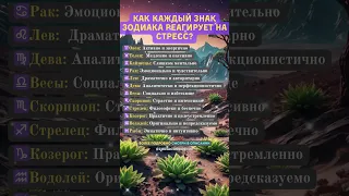 🌟 Как каждый знак зодиака реагирует на стресс? 🌟