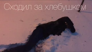 Сходил за хлебушком | Одесса 😃❄️