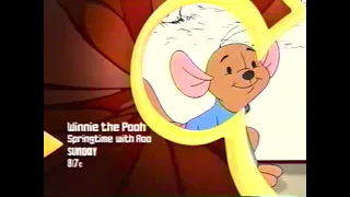 Winnie The Pooh Springtime with Roo  (2004) Promo - Disney Channel - Sunday