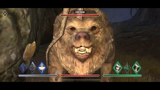 TheChanClan Plays: The Elder Scrolls Blades - Level 22 Cave Bears