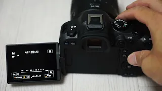 캐논 EOS R6 Mark II 연사 성능 테스트