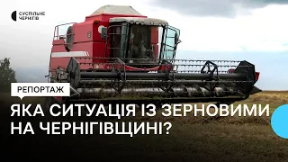 Як вихід РФ із "зернової угоди" та обстріли українських портів вплинули на аграріїв Чернігівщини