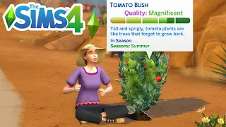 How To Evolve Plants (Increase Plant Quality) - The Sims 4