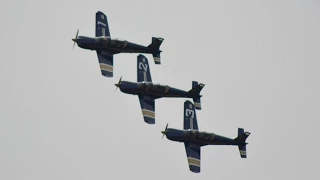 French Air Force Cartouche Doré at Texel Airshow 2015 (DutchPlaneSpotter)