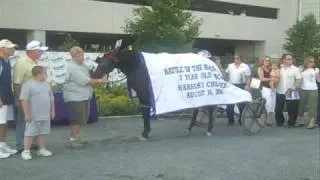 Eye on Harness Racing -- Aug 20th, 2009 -- USTA harness racing Hoof Beats