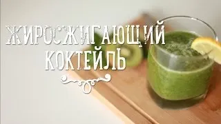 Быстрый рецепт жиросжигающего коктейля [Рецепты Bon Appetit]