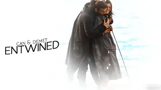 Can Yaman & Demet Özdemir| Entwined