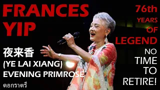 夜来香 (YE LAI XIANG - EVENING PRIMROSE - ดอกราตรี) 葉麗儀 - 泰國現場演唱會 | Frances Yip | ฟรานซิส ยิป