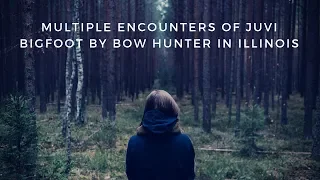 Multiple Encounters 🙉 Juvi Bigfoot BY BOW HUNTER in Illinois