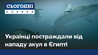 Акула напала на украинских туристов в Египте: обстоятельства инцидента