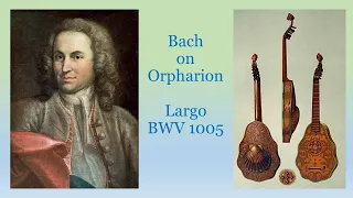 Bach's Largo BWV 1005 on Orpharion/ Bandora, played by Taro Takeuchi, バッハの『ラルゴ』BWV1005