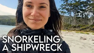 snorkeling SHIPWRECK in Fortescue Bay, Tasmania