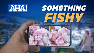 Isang uri ng isda, napagkamalang magnanakaw sa dagat?! | AHA!