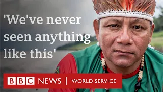 Crisis in the Amazon: Will the largest rainforest in the world survive? - BBC World Service