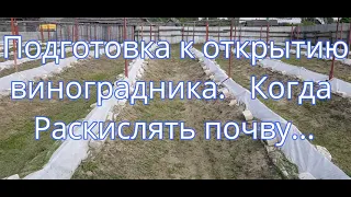 Подготовка к открытию виноградника Когда раскислять почву