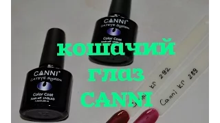 Кошачий глаз Canni / Обзор плотности кошачий глаз