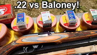 .22 vs Bologna Velocitor Interceptor Stinger Supermaximum