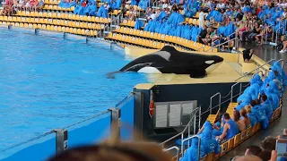 Loro Parque Tenerife Orca Ocean Show 08 november 2017