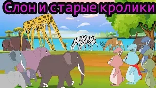 | Слон и старые кролики | Сказки для детей | мультфильмы для детей | Русские Моральные Истории