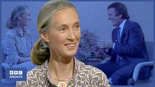 1986: JANE GOODALL Interview | Wogan | Classic Interviews | BBC Archive