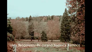 Liviu Teodorescu-Pe curand (Badsyca Remix)