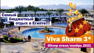 Свежий обзор отеля Viva Sharm 3* за ноябрь 2021 г. Египет Шарм-Эль-Шейх.