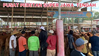 PUSAT PEDETAN SUPER DI JAWA TENGAH!!