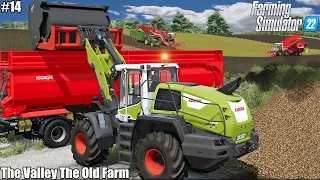 HARVESTING POTATOES & FEEDING COWS│The Valley The Old Farm│FS 22│14