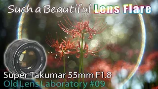 Vintage Lens Review in Video examples / Asahi Super Takumar 55mm F1.8