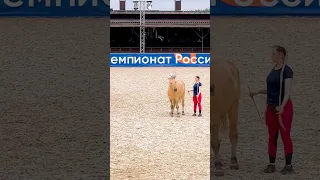 Нина Принц и Диадем. Свечки