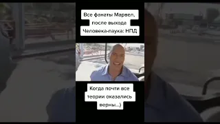 POV: Все фанаты Марвел, после выхода Человека-паука: Нет пути домой) #Человекпаук #Скала