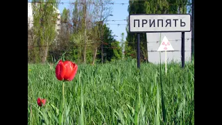 Припять Чернобыль 1996 год Pripyat Chernobyl Year 1996