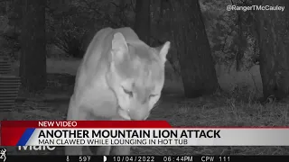 Mountain lion attacks man in Colorado hot tub